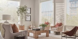 Chic living room with a coffee table, cozy seating, and Aria™ Soft Blinds on large windows near Kerrville, TX
